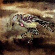 The Echo Wall - Navigable Darkness