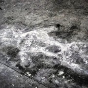 The Ridges - Athens, OH