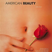 American Beauty