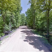 Mississippi - The Three Legged Lady of Nash Road