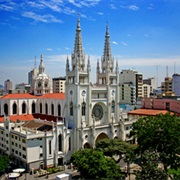 Visit the Guayaquil Cathedral