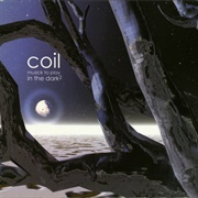 Coil - Musick to Play in the Dark²