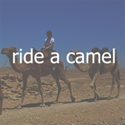 Ride a Camel