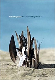 Measures of Expatriation (Vahn Capildeo)