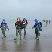 Walk From Amrum to Föhr Through the Wadden Sea