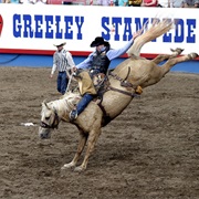 Greeley Stampede