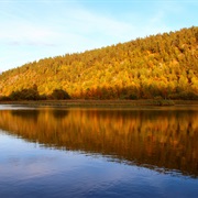 Lemmenjoki National Park
