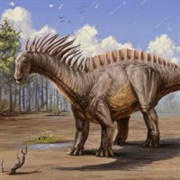 Amargosaurs