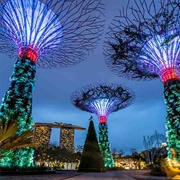 Gardens by the Bay, Singapore