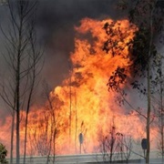 Portugal Forest Fires - 2017