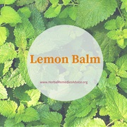 Lemon Balm to Relieve Tension And/Or Digestive Upset