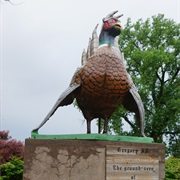 World's Largest Pheasant, Gregory, South Dakota