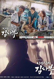 Romantic Doctor, Teacher Kim (2016)