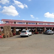 Chesnee, South Carolina, USA