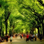 Literary Walk, Central Park