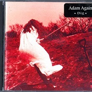 Adam Again Dig