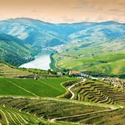 Douro Valley, Portugal