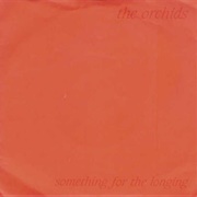 The Orchids-Something for the Longing