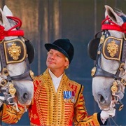 Visit the Royal Mews.