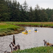 South Slough National Estuarine Research Reserve