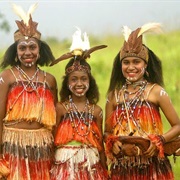 Papua (Irian Java, Indonesia)