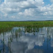 Rice Lake National Wildlife Refuge