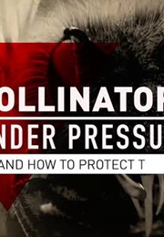 Pollinators Under Pressure (2018)