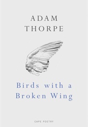 Birds With a Broken Wing (Adam Thorpe)