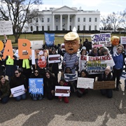 Watched Protesters at the White House, Washington, DC