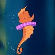 Harold the Seahorse