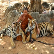 Tiger Temple