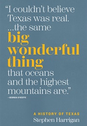 Big Wonderful Thing (Stephen Harrigan)