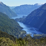 Fiordland