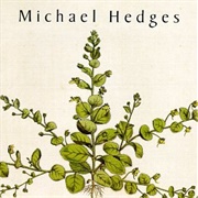 Michael Hedges - Taproot