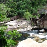 Girramay National Park (QLD)