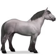Percheron - Mouse Gray