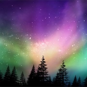 Experiencing the Northern Lights