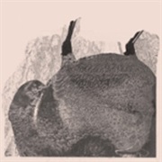 Svarte Greiner - Knive