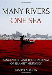 Many Rivers, One Sea (Joseph Allchin)