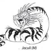 Jaculi