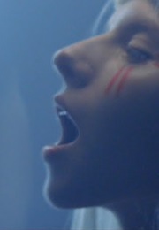 Aurora: Animal (2019)