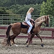 Kentucky Mountain Saddle