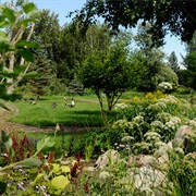 Devonian Botanic Garden
