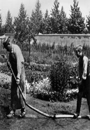 Tables Turned on the Gardener