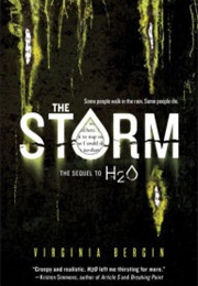The Storm (Virginia Bergin)