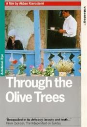 Through the Olive Trees