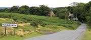 Muggleswick