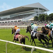 Arlington Park