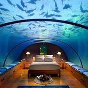 Sleep in an Underwater Room