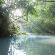 Orinoco River, Venezuela